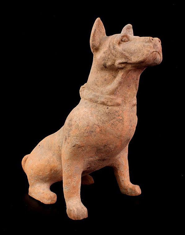 cc20a: Terra cotta figure of a hunting dog.  Han Dynasty (200 b.c. to 200 a.d.), China.